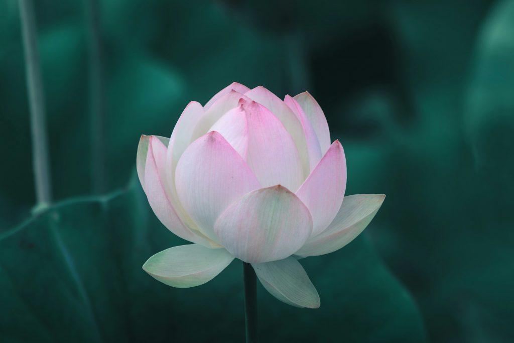 Hello World Featured Image
